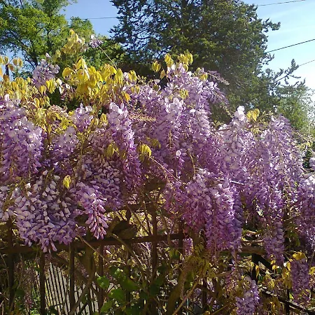 Manoir Le Cristal - jusqu'au 3 avril Futuroscope à 28 euros - pers