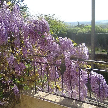 Manoir Le Cristal - jusqu'au 3 avril Futuroscope à 28 euros - pers Couette-café