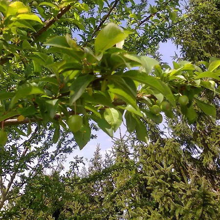 Couette-café Manoir Le Cristal - jusqu'au 3 avril Futuroscope à 28 euros - pers