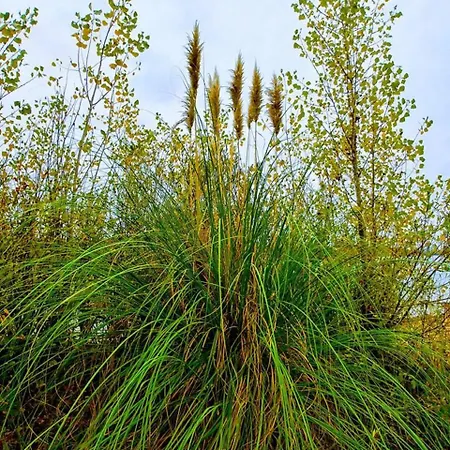 Couette-café Manoir Le Cristal - jusqu'au 3 avril Futuroscope à 28 euros - pers