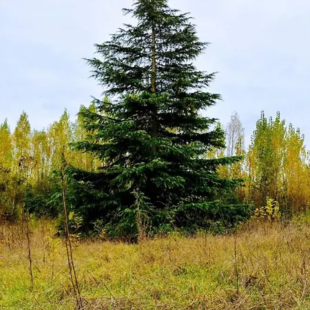 Manoir Le Cristal - jusqu'au 3 avril Futuroscope à 28 euros - pers 4*