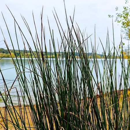 Manoir Le Cristal - Jusqu'Au 3 Avril Futuroscope A 28 Euros - Pers Beaumont